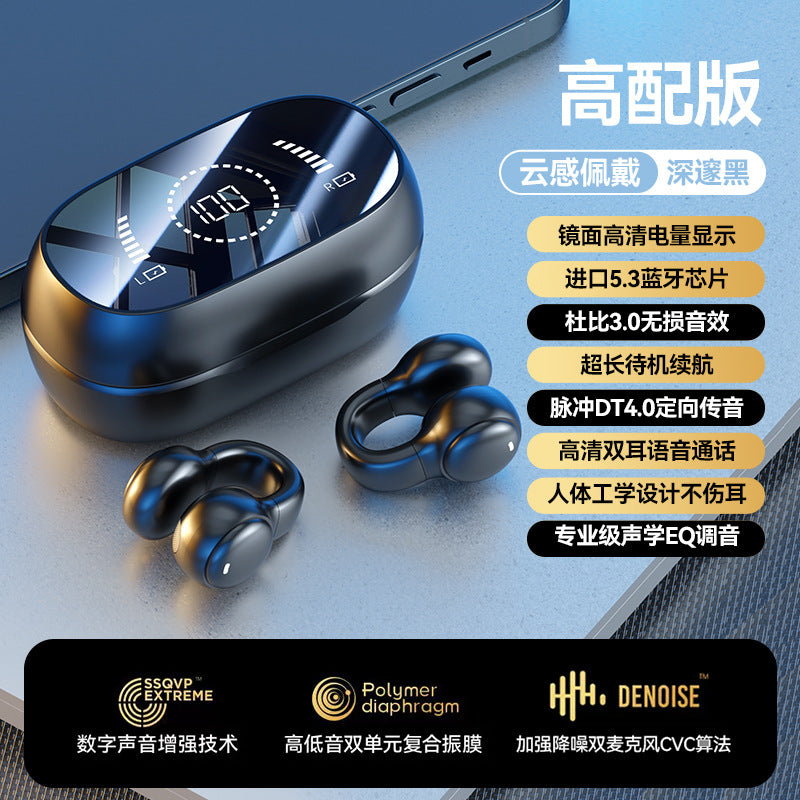 M55 Sports Conduction Earbuds