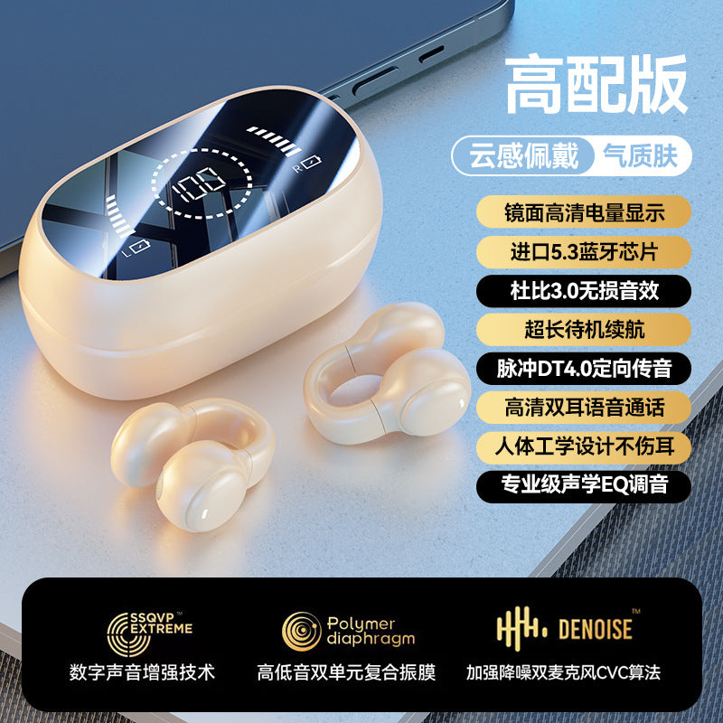 M55 Sports Conduction Earbuds